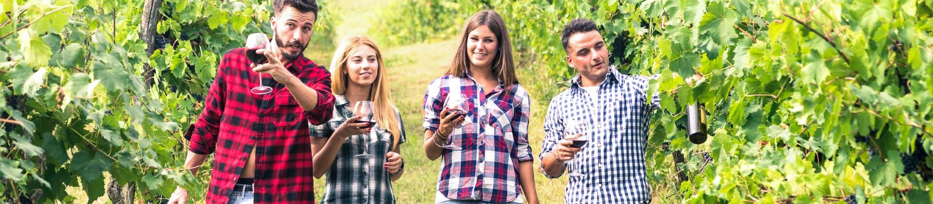 Laurea Triennale in Viticoltura ed Enologia, Università di Pisa